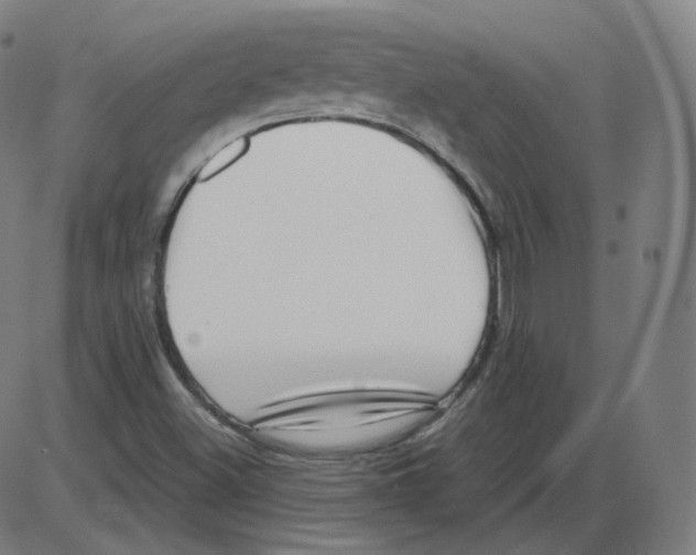 X0000084041500200703161818