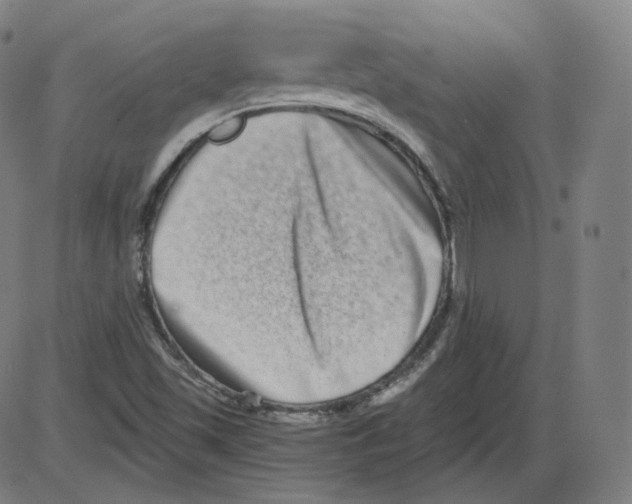 X0000084041501200703161818