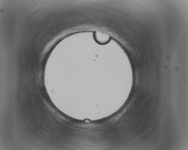 X0000084041502200703161818