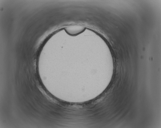 X0000084041503200703161818