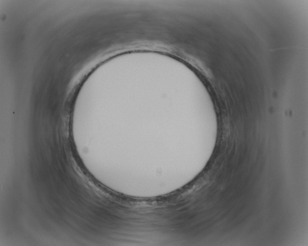 X0000084041504200703161818