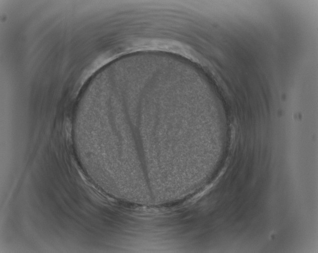 X0000084041505200703161818