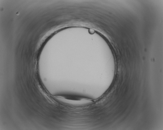 X0000084041507200703161818