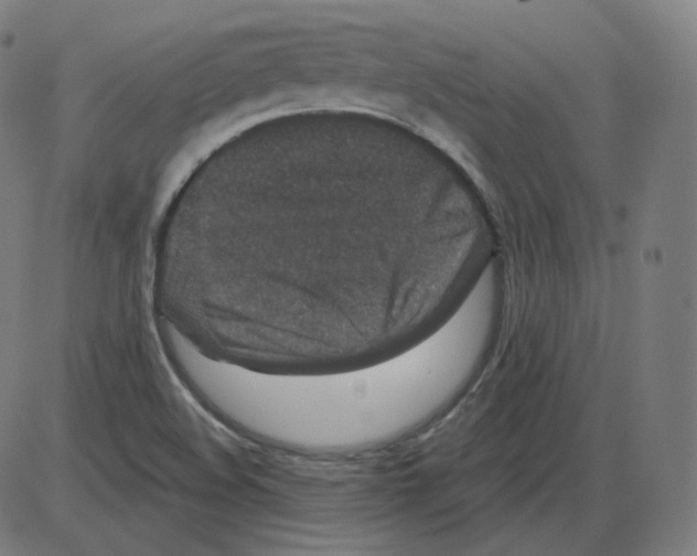 X0000084041508200703161818