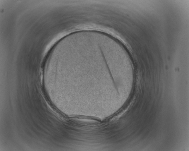 X0000084041509200703161818