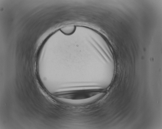 X0000084041511200703161818