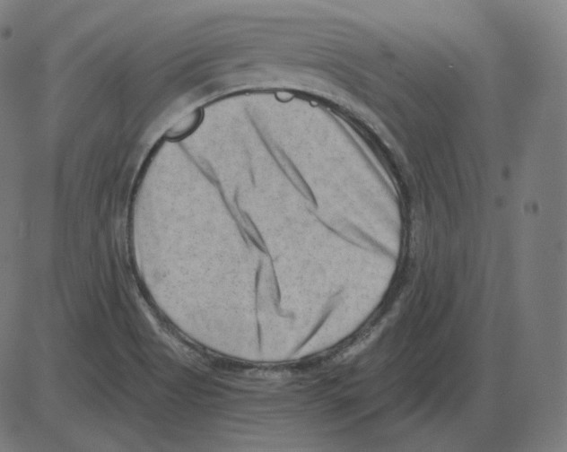 X0000084041513200703161818