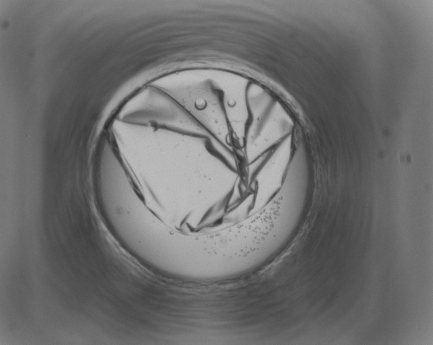 X0000084041514200703161818