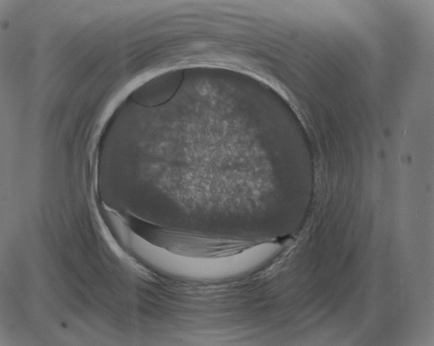 X0000084041515200703161818