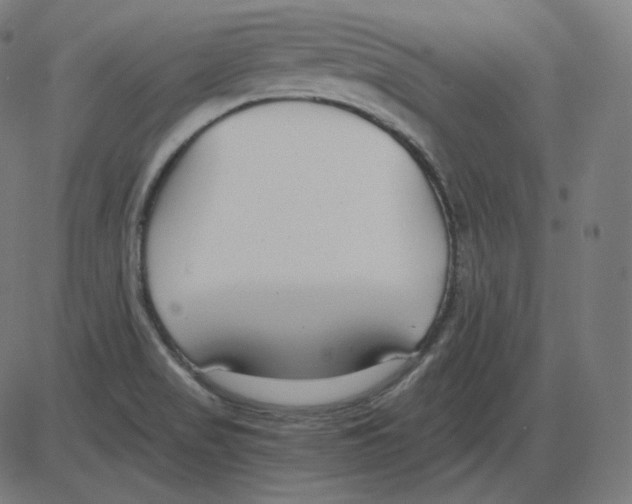 X0000084041517200703161818