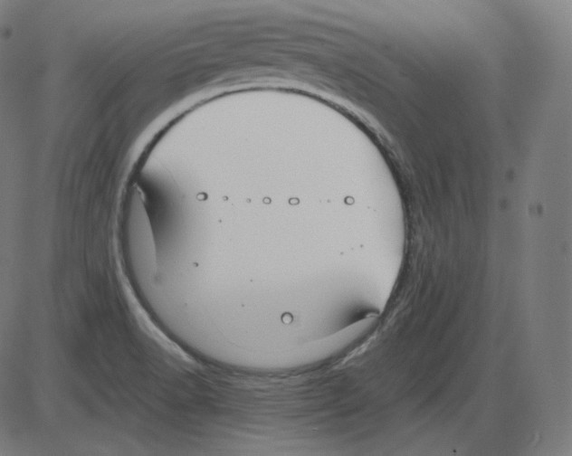 X0000084041518200703161818