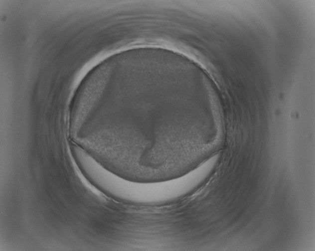 X0000084041519200703161818