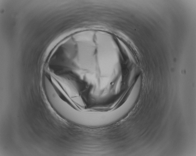 X0000084041520200703161818