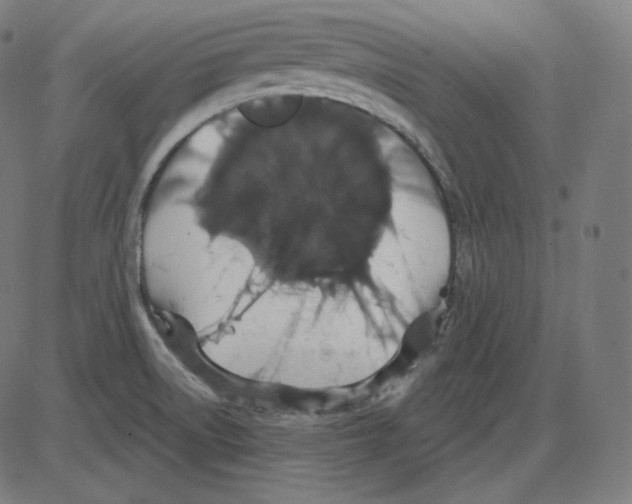 X0000084041522200703161818