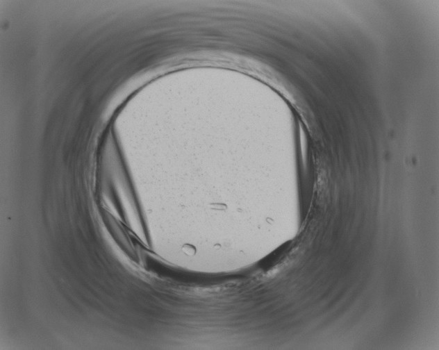 X0000084041523200703161818