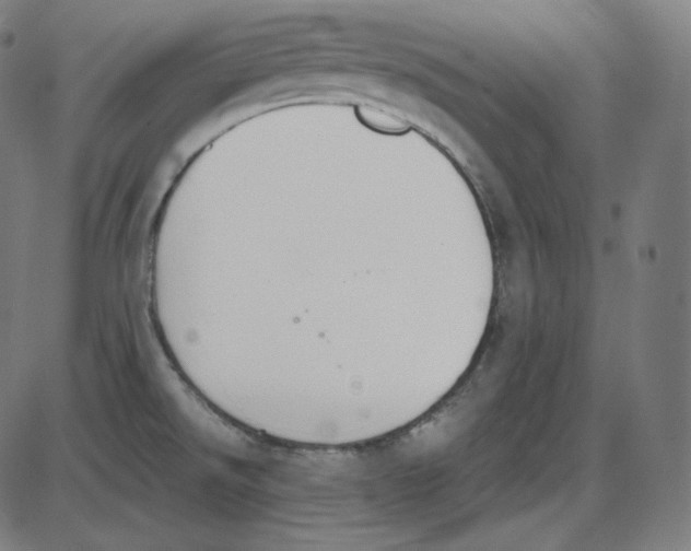 X0000084041526200703161818