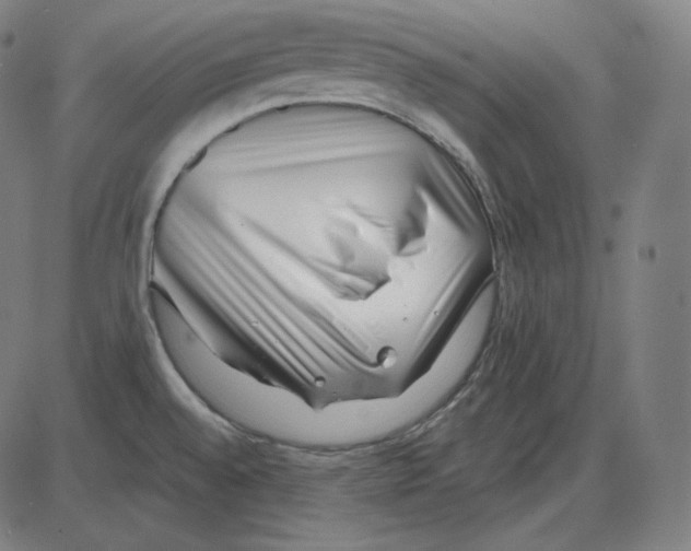 X0000084041528200703161818