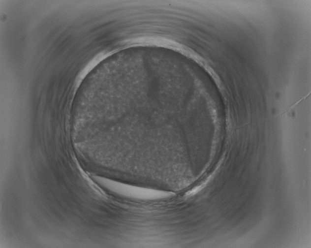 X0000084041529200703161818