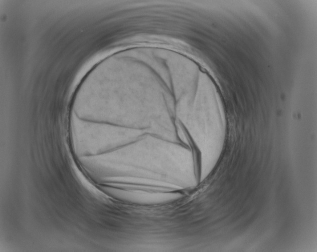 X0000084041531200703161818