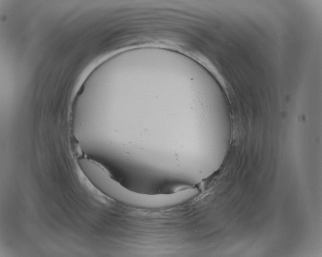 X0000084041532200703161818