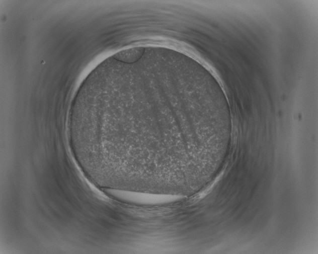 X0000084041533200703161818