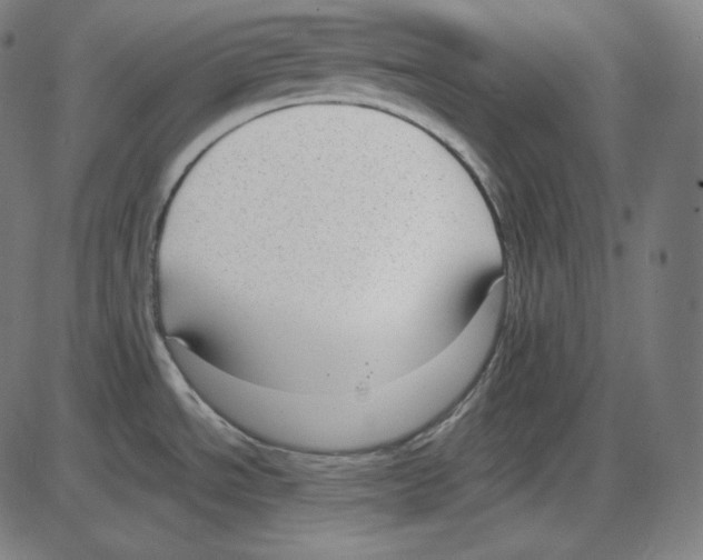 X0000084041534200703161818