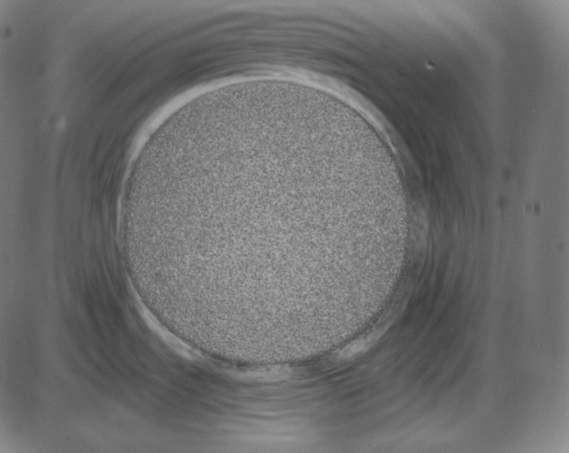 X0000084041535200703161818