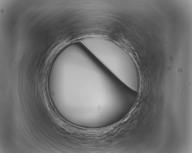 X0000084050001200702160936