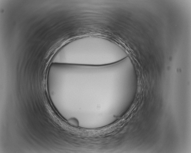 X0000084050002200702160936