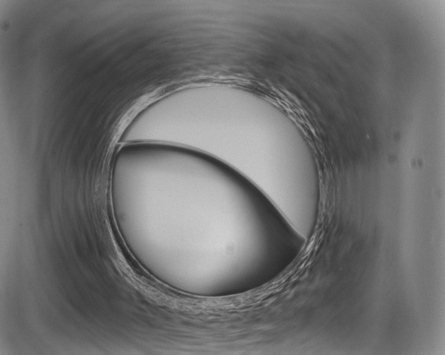 X0000084050003200702160936