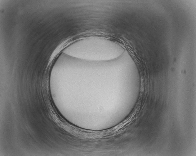 X0000084050004200702160936