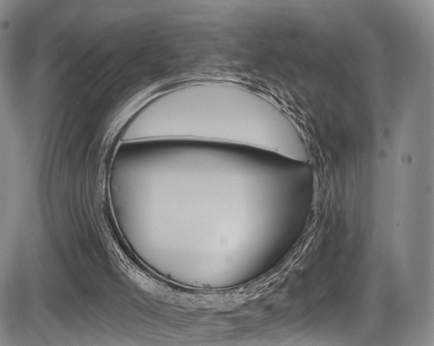 X0000084050005200702160936