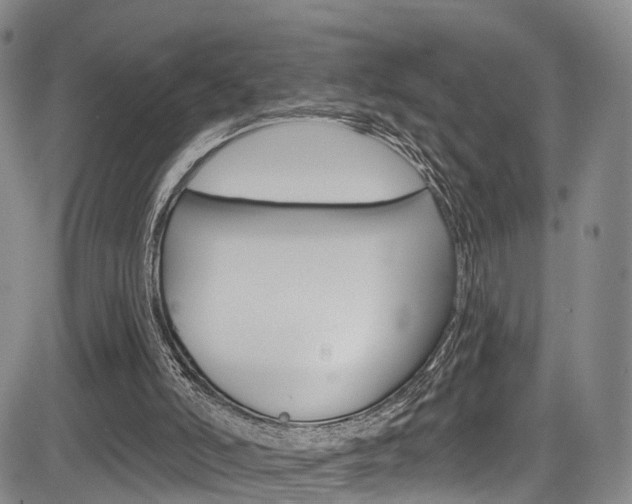 X0000084050006200702160936