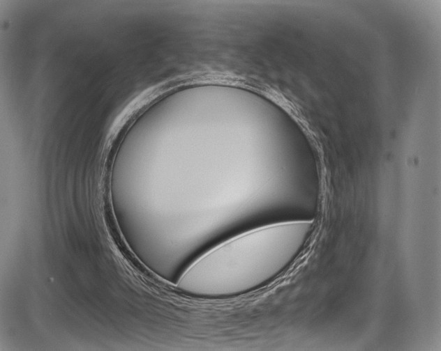 X0000084050007200702160936