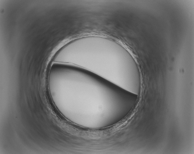 X0000084050008200702160936