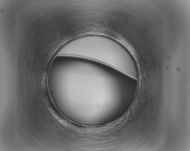 X0000084050009200702160936