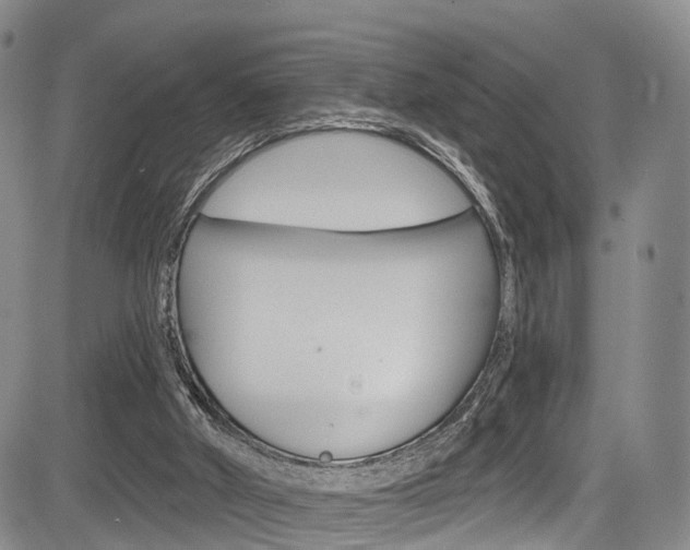 X0000084050010200702160936