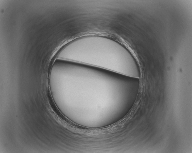 X0000084050011200702160936