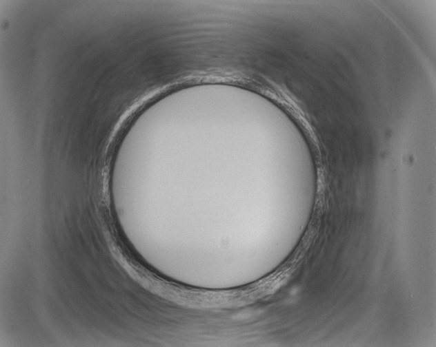 X0000084050012200702160936