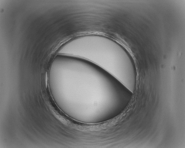 X0000084050013200702160936