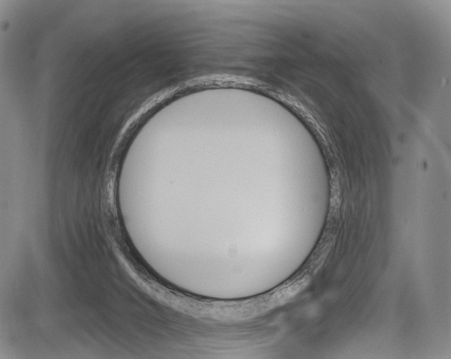 X0000084050016200702160936