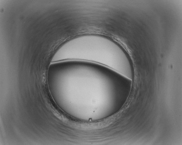 X0000084050017200702160936