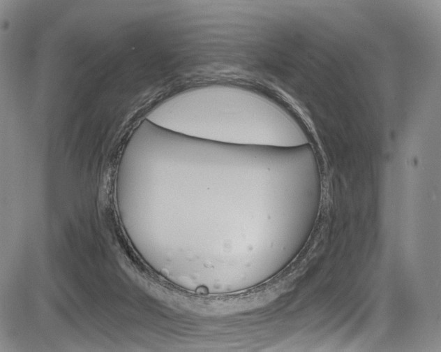 X0000084050018200702160936