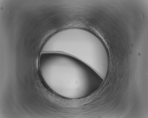 X0000084050019200702160936