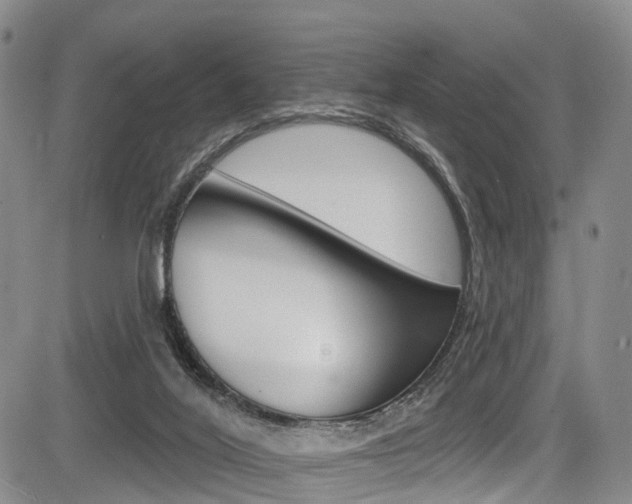 X0000084050020200702160936