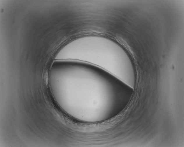 X0000084050021200702160936