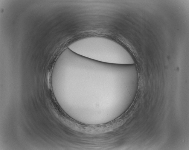 X0000084050022200702160936