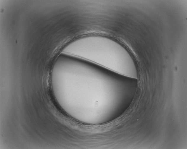 X0000084050023200702160936