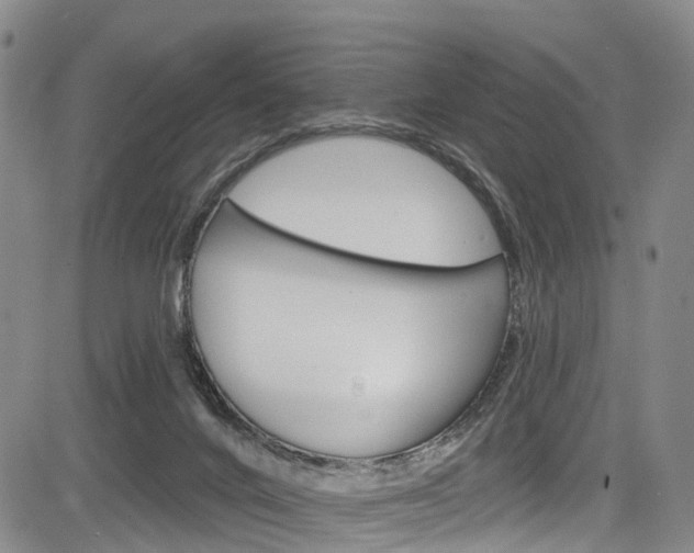 X0000084050024200702160936