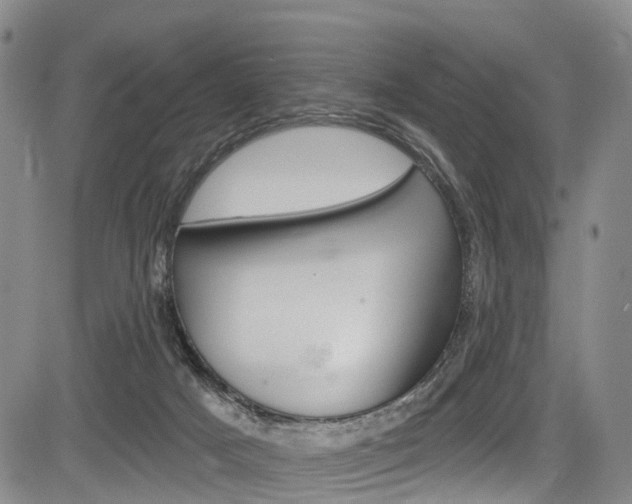 X0000084050025200702160936